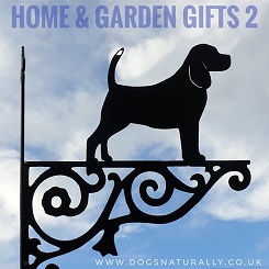 Home & Garden Gifts 2
